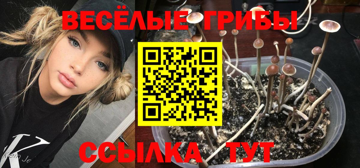 Галлюциногенные грибы мухоморы Красный Сулин