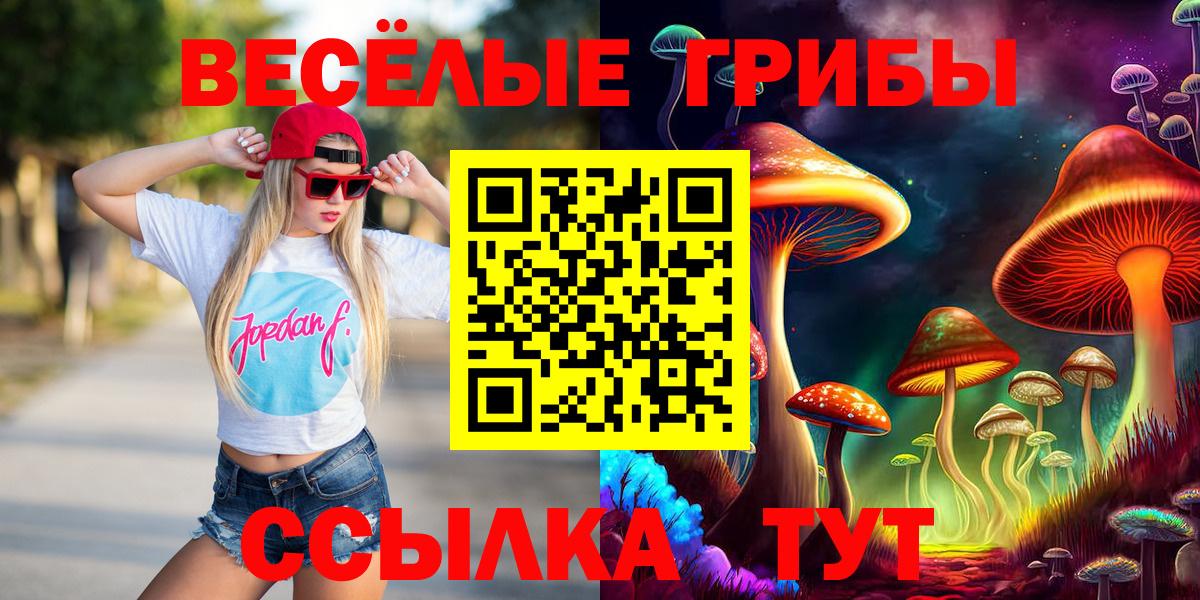 Красный Сулин  Галлюциногенные грибы прущие грибы  хочу   Вход с VPN 